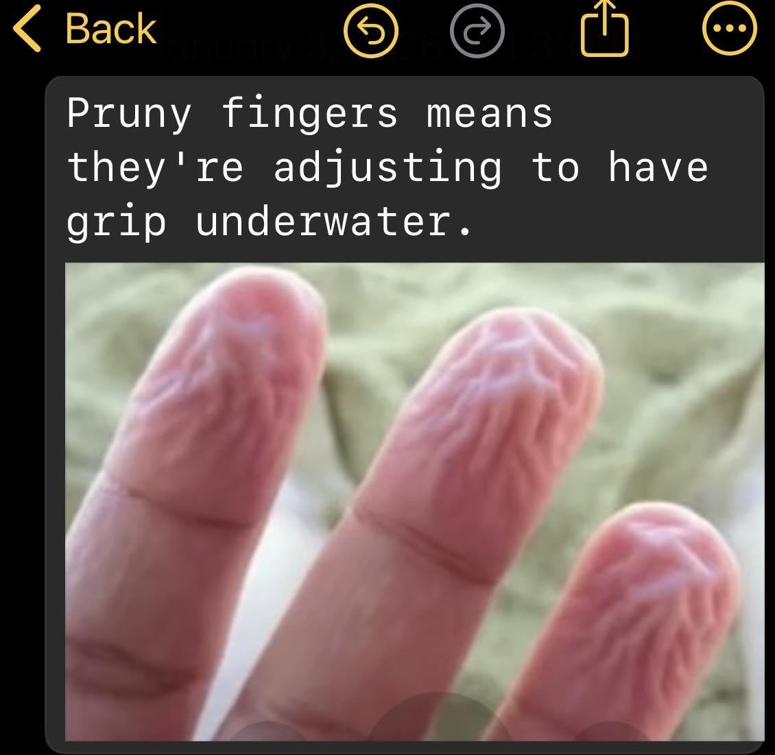 Pruny Finger Grip