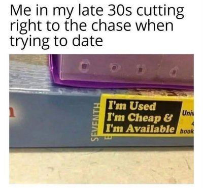 Dating Desperation Book