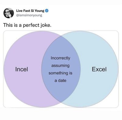 Incel Excel Memes