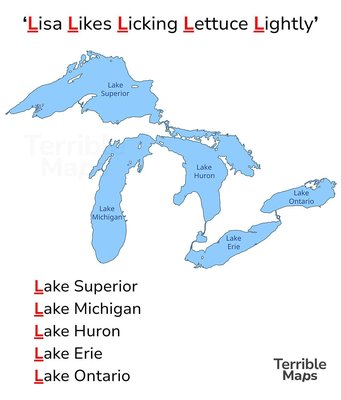 Lisa's Lettuce Love