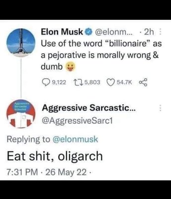 Musk's Billionaire Pejorative